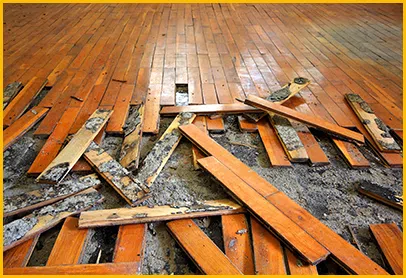 Fort Lauderdale Emergency Restoration Fort Lauderdale, FL 954-368-9737 - city-img