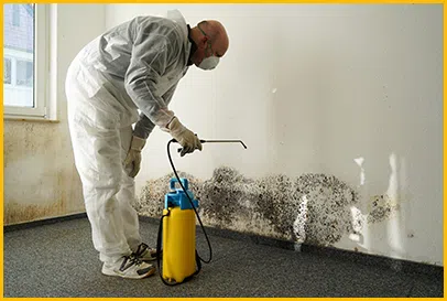 Fort Lauderdale Emergency Restoration Fort Lauderdale, FL 954-368-9737 Fort Lauderdale Emergency Restoration Fort Lauderdale, FL 954-368-9737 - county-img